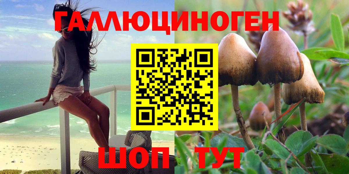 Галлюциногенные грибы мухоморы  Вход с VPN  цена наркотик  Вольск 